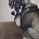 Entry image for Lucy