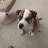 Entry image for Franklin