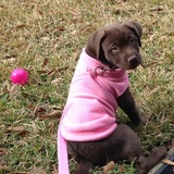 Entry image for Chelsey 