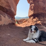 Entry image for Stella