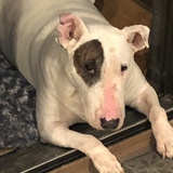 Entry image for Penny