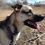 Entry image for Bella