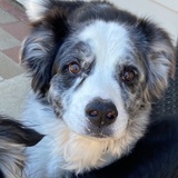 Entry image for Ghost