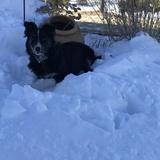 Entry image for Abbey 