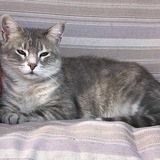 Entry image for Momma 