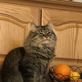 Entry image for Maggie