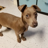 Entry image for Leroy Jenkins