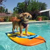 Entry image for Eris