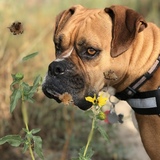 Entry image for Luke