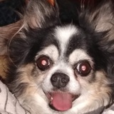 Entry image for Tommy