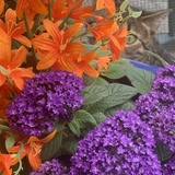 Entry image for CeeCee