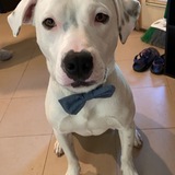 Entry image for Breckenridge