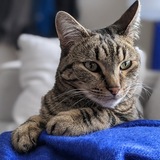 Entry image for Maybe