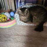 Entry image for Mildred