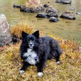 Entry image for Rosie