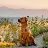 Entry image for Summer