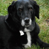 Entry image for Bernadette