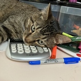 Entry image for Embree 