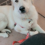 Entry image for Zorii 