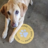 Entry image for Lucy