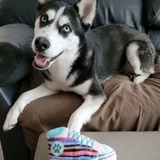 Entry image for Skye