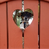 Entry image for Beesly