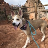 Entry image for Frida