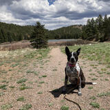 Entry image for Cherry