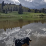 Entry image for Roxy