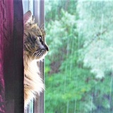 Entry image for Maggie