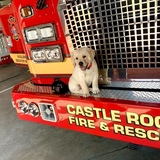 Entry image for Bentley