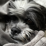 Entry image for Colin