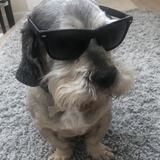 Entry image for Stubby