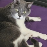 Entry image for Ernie 