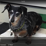 Entry image for Camo