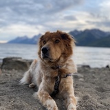 Entry image for Maggie