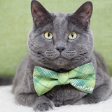 Entry image for Sherlock