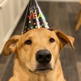 Entry image for Tyson