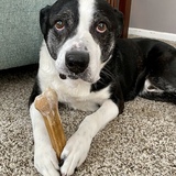 Entry image for Hobbs 