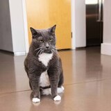 Entry image for Jillian