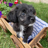 Entry image for Etouffee