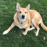 Entry image for Murphy