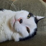 Entry image for Gary