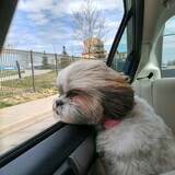 Entry image for Triscuit