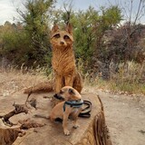 Entry image for Chester