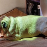 Entry image for Mattie