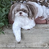 Entry image for Bella Nostrand 