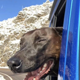 Entry image for Sarah