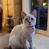 Entry image for Luna