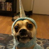 Entry image for Roger